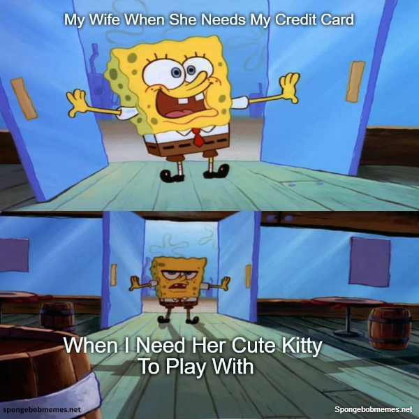 My Wife When She Needs My Credit Card Vs When I Need A Good Time In Bed